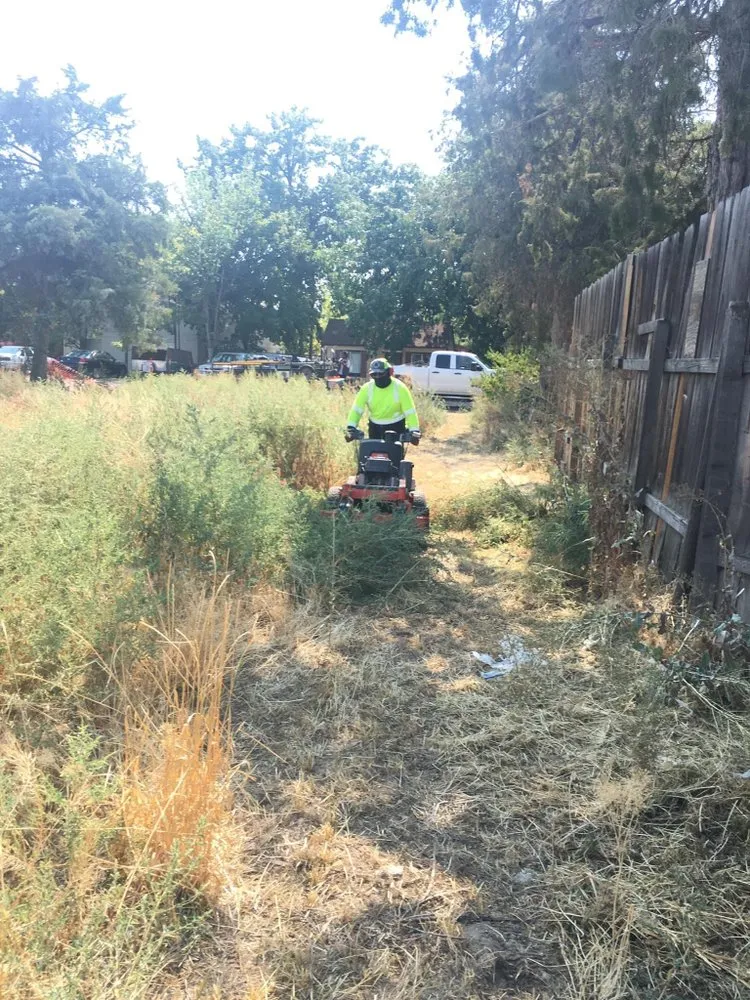 Expert landscape installation in Nampa, ID by Vergara Landscaping