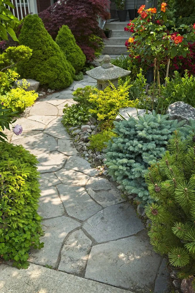 Top-rated residential landscaping experts serving White Plains, MD - Vergel landscaping LLC