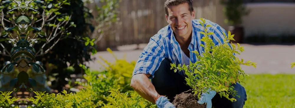 Expert landscape installation for homes across Boca Raton, FL - Vergelteam