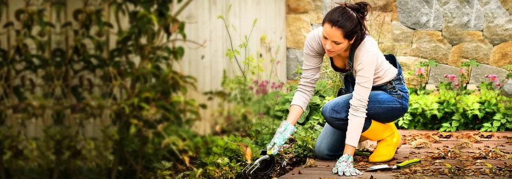 Custom outdoor landscaping in Boca Raton, FL by Vergelteam