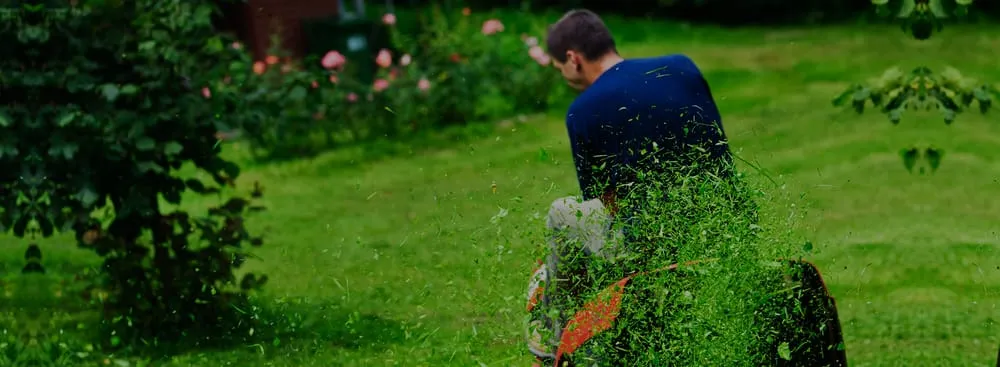 Custom yard cleanup service in Boca Raton, FL by Vergelteam