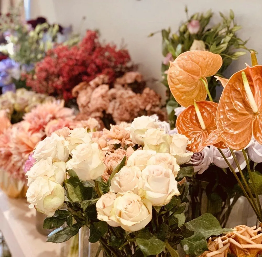 Reliable landscaping services for year-round maintenance across Monrovia, CA - Veridian Deserts