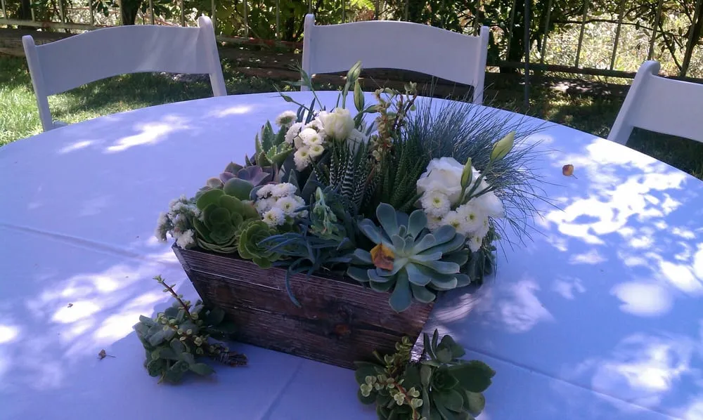 Expert landscape design experts serving Monrovia, CA - Veridian Deserts