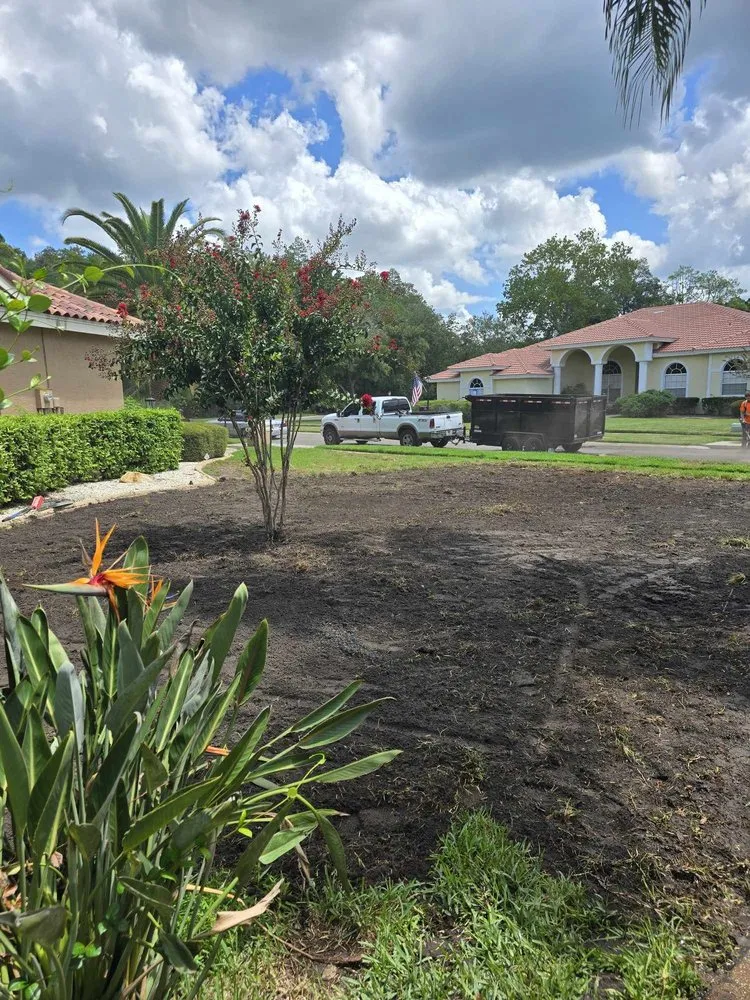 Affordable outdoor landscaping in Pinellas Park, FL - Veridian Property Solutions