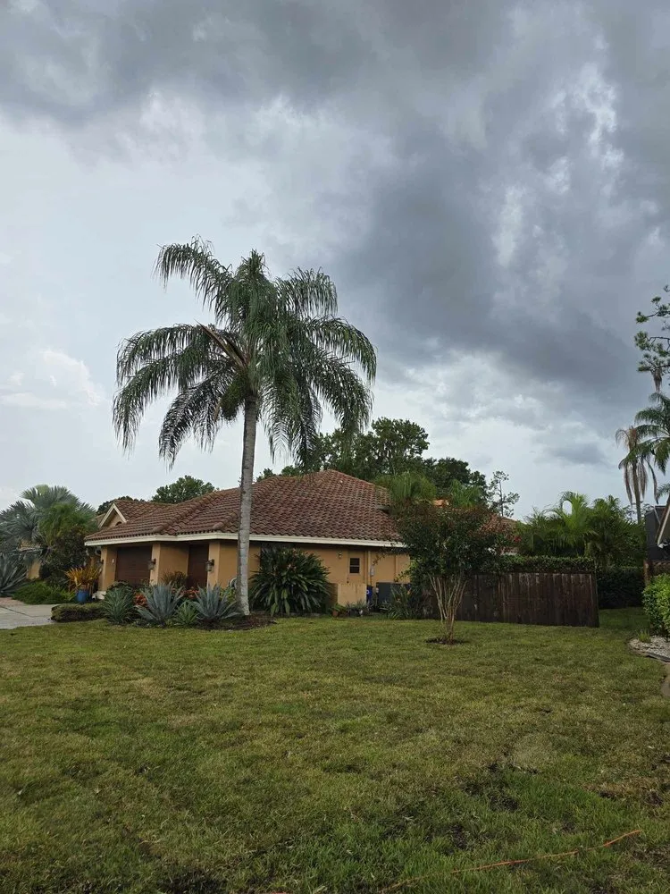 Trusted residential landscaping in Pinellas Park, FL by Veridian Property Solutions