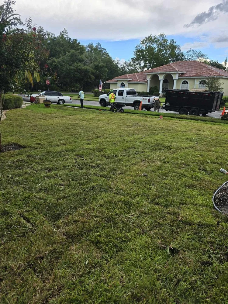 Trusted yard maintenance in Pinellas Park, FL by Veridian Property Solutions