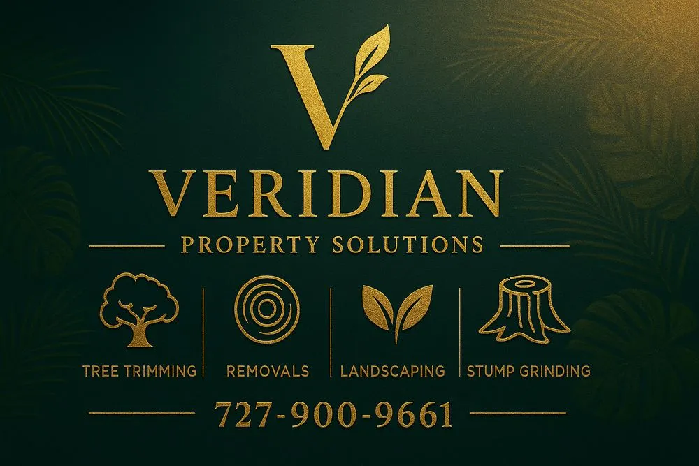 Affordable landscape installation in Pinellas Park, FL - Veridian Property Solutions