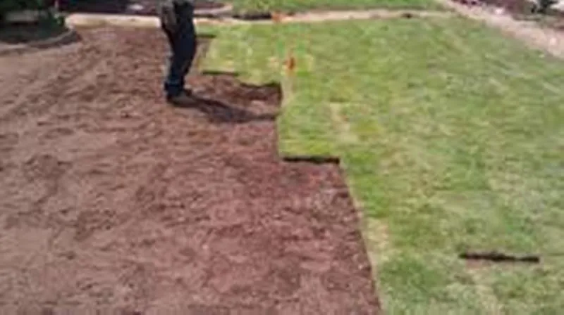 Affordable landscape installation for residential properties across Maurice, LA - Vermilion Scapes and Nursery