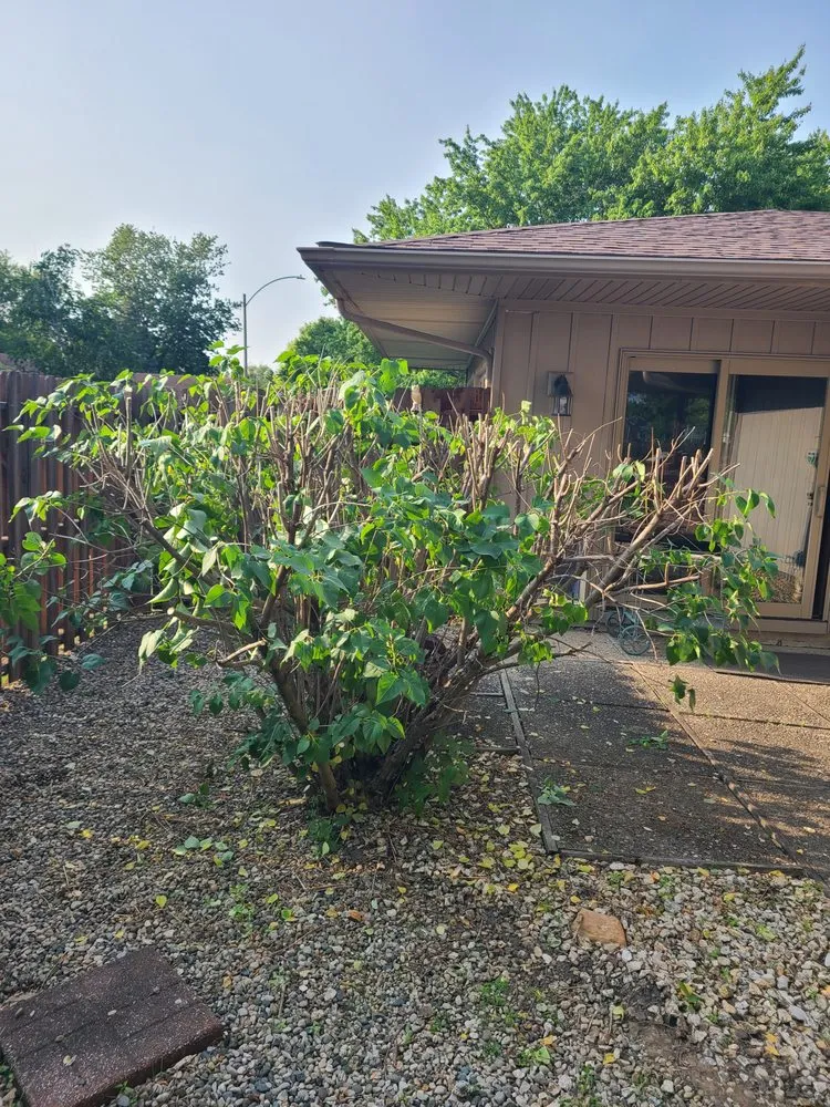 Reliable residential landscaping near you in Cayuga, IN by Vermillion Ridge Services