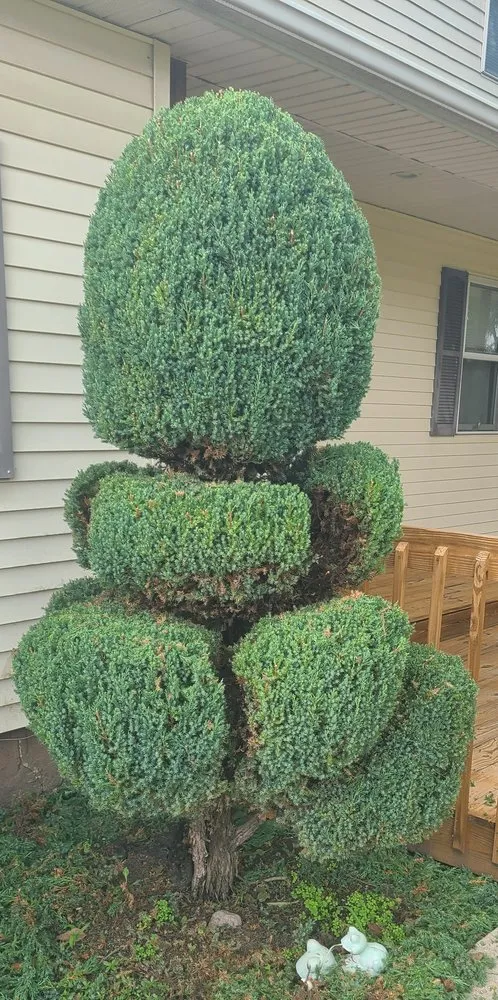 Expert landscape installation near you in Cayuga, IN by Vermillion Ridge Services