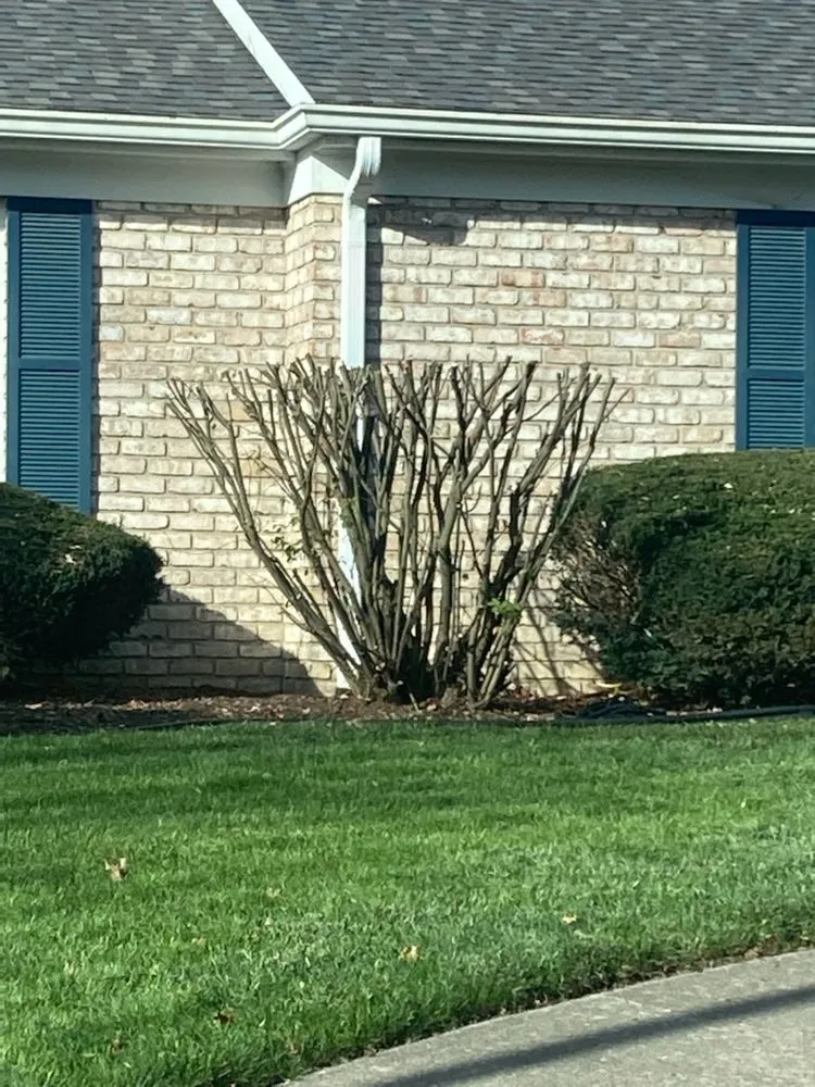 Expert yard cleanup service in Cayuga, IN - Vermillion Ridge Services