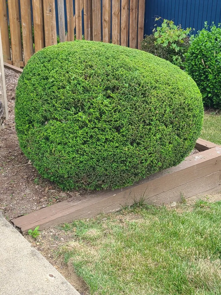 Trusted landscape design in Cayuga, IN - Vermillion Ridge Services