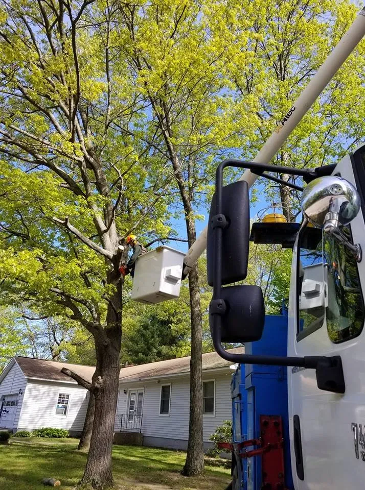 Custom landscape installation in Williston, VT - Vermont Arbor Scapes