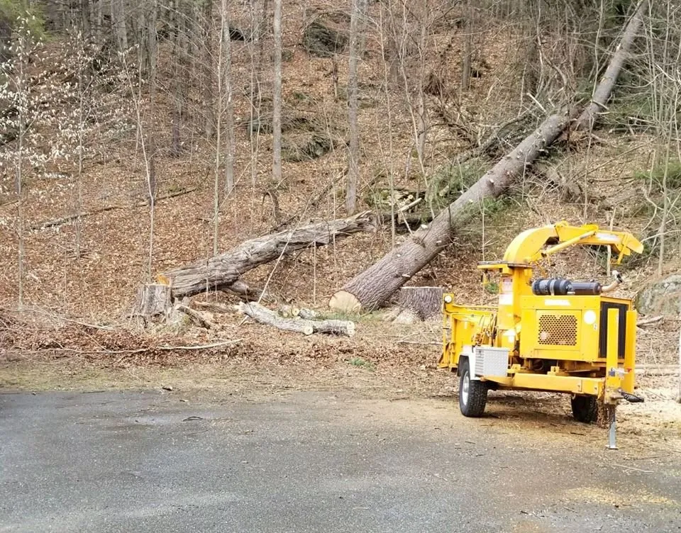 Expert landscape installation for year-round maintenance in Williston, VT by Vermont Arbor Scapes