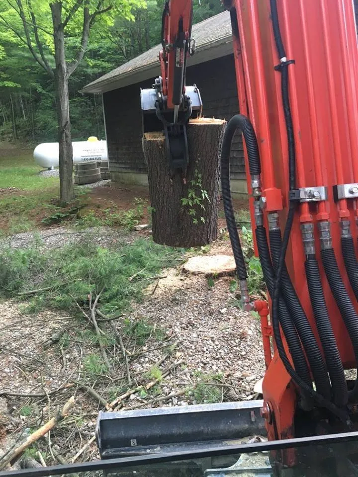 Trusted yard cleanup service experts serving Williston, VT - Vermont Arbor Scapes