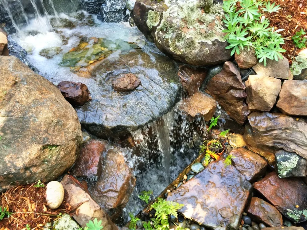 Expert outdoor landscaping experts serving Placerville, CA - Verne Pershing The Art Of Gardening