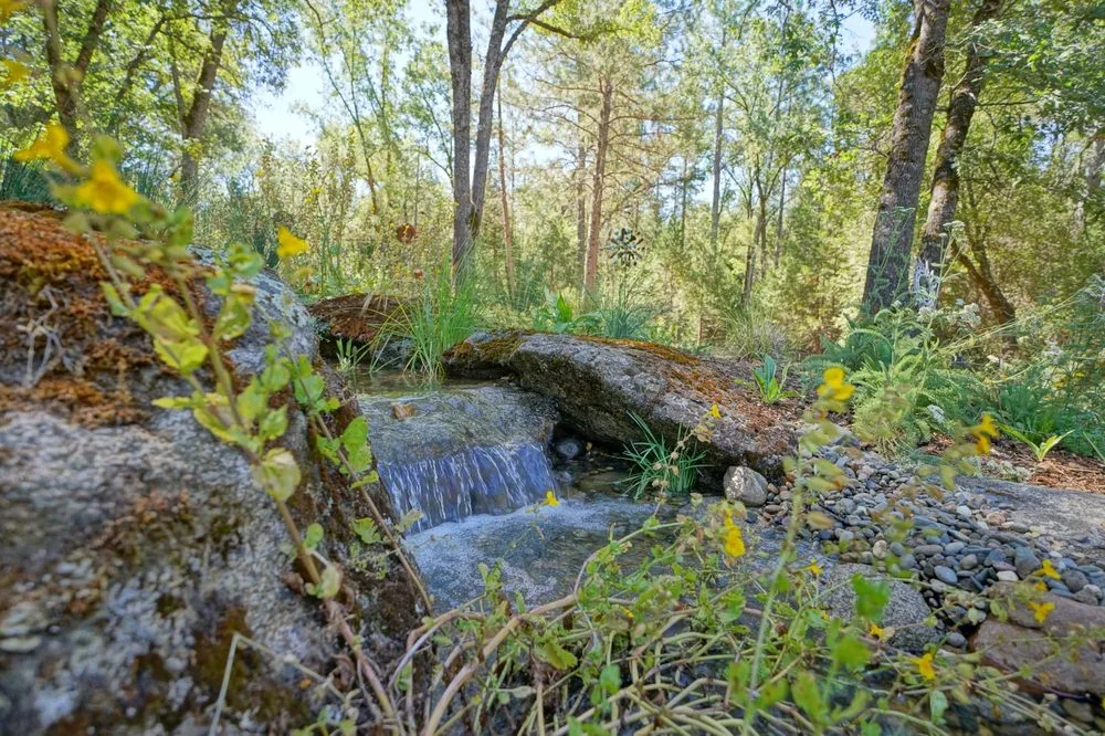 Expert outdoor landscaping in Placerville, CA - Verne Pershing The Art Of Gardening