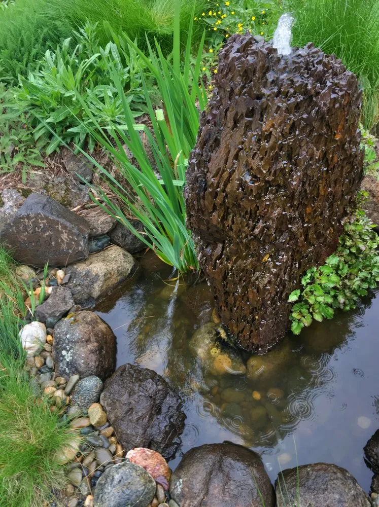 Reliable lawn care service experts serving Placerville, CA - Verne Pershing The Art Of Gardening