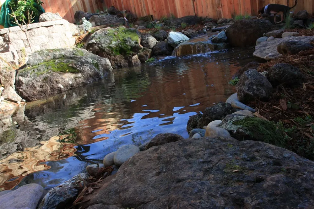 Professional residential landscaping in Placerville, CA by Verne Pershing The Art Of Gardening