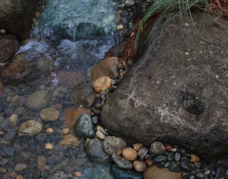 Top-rated garden landscaping for beautiful yards across Placerville, CA - Verne Pershing The Art Of Gardening