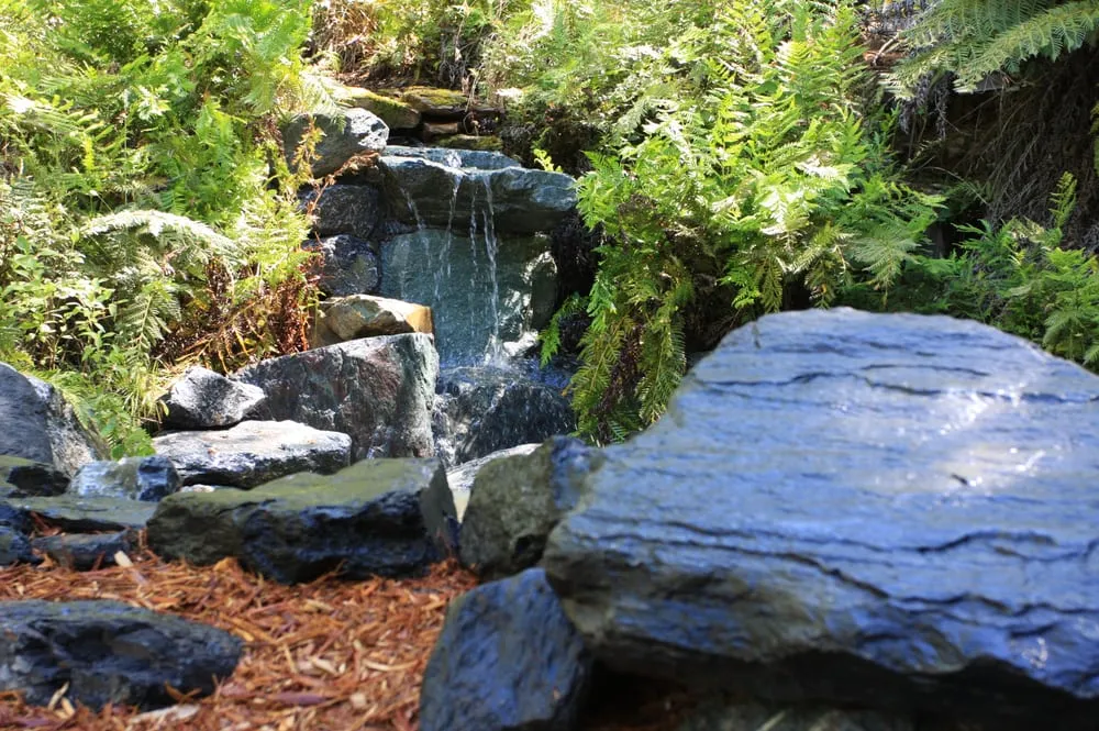 Reliable lawn mowing service experts serving Placerville, CA - Verne Pershing The Art Of Gardening