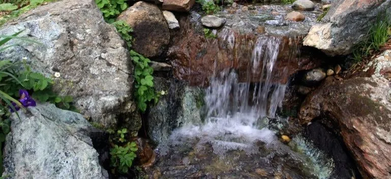 Custom lawn care service in Placerville, CA - Verne Pershing The Art Of Gardening