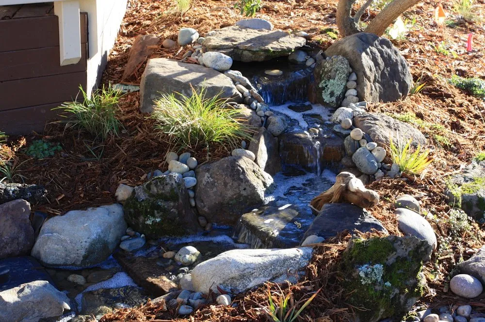 Professional yard cleanup service for year-round maintenance across Placerville, CA - Verne Pershing The Art Of Gardening