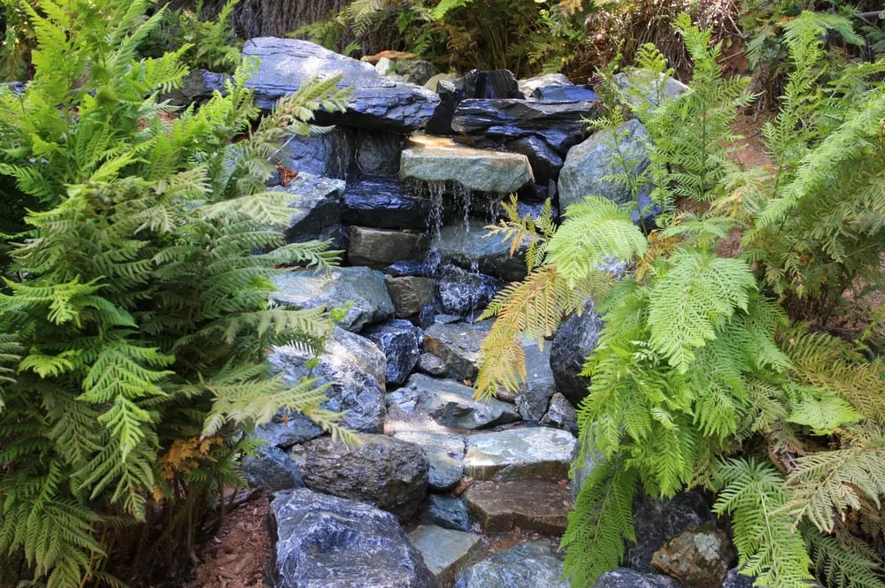 Expert residential landscaping for residential properties across Placerville, CA - Verne Pershing The Art Of Gardening