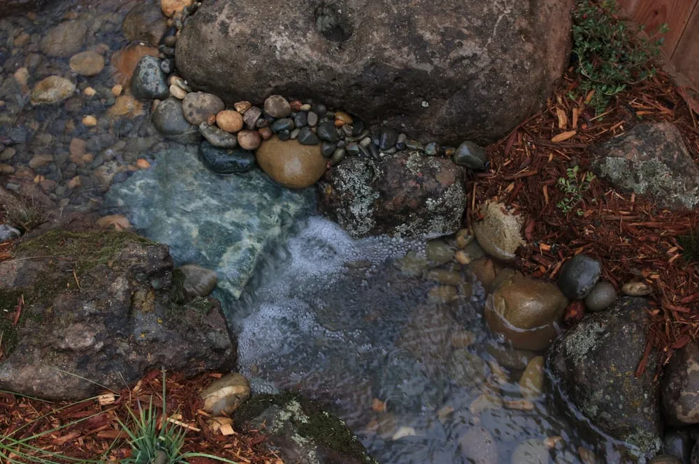 Top-rated yard cleanup service experts serving Placerville, CA - Verne Pershing The Art Of Gardening