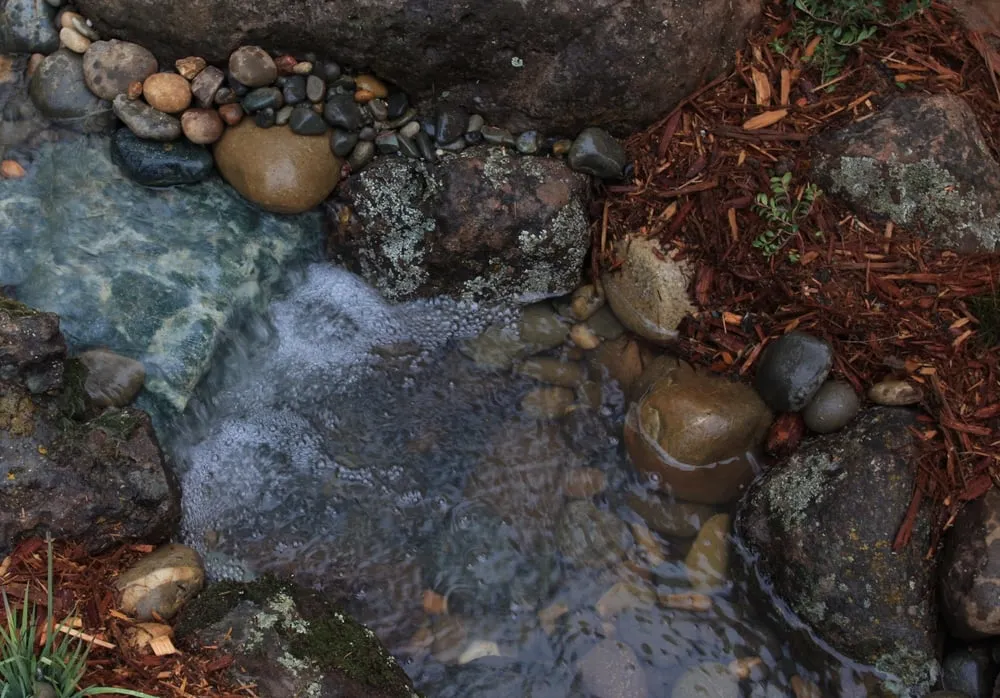 Local outdoor landscaping experts serving Placerville, CA - Verne Pershing The Art Of Gardening