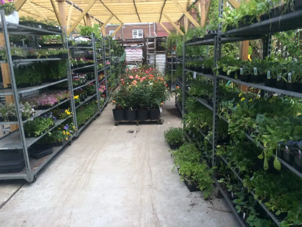 Reliable landscaping services in East Elmhurst, NY - Verni's Garden Center & Landscaping