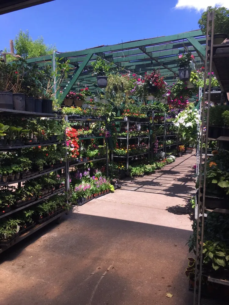 Affordable lawn mowing service experts serving East Elmhurst, NY - Verni's Garden Center & Landscaping