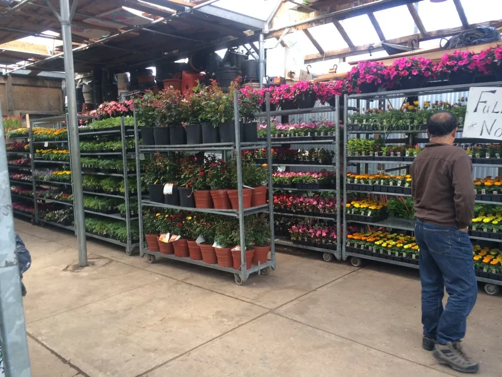 Custom yard cleanup service for residential properties in East Elmhurst, NY by Verni's Garden Center & Landscaping