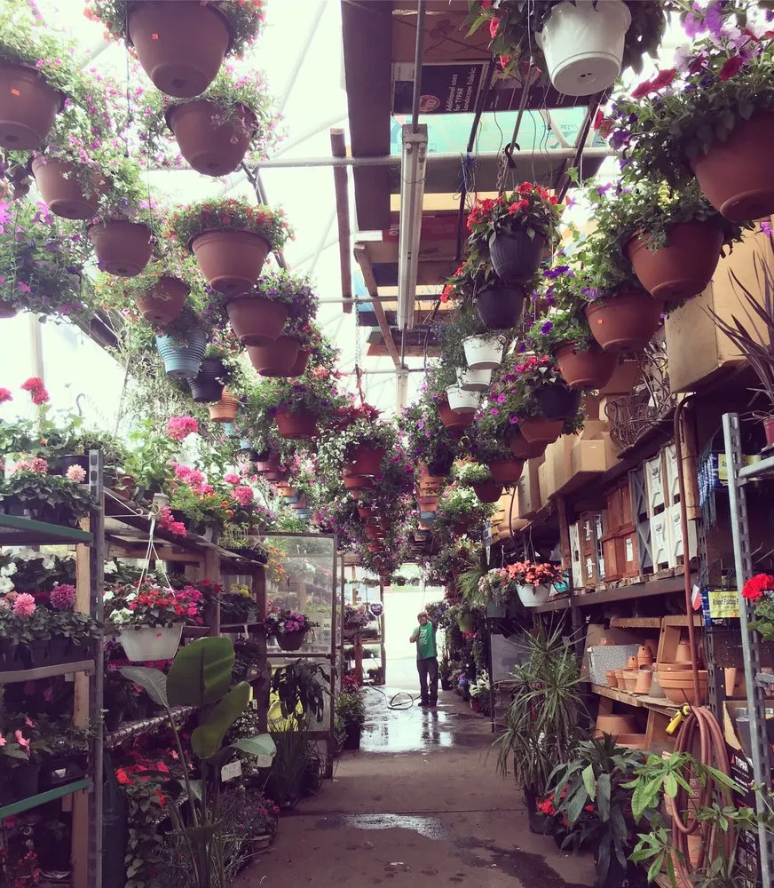Custom residential landscaping experts serving East Elmhurst, NY - Verni's Garden Center & Landscaping