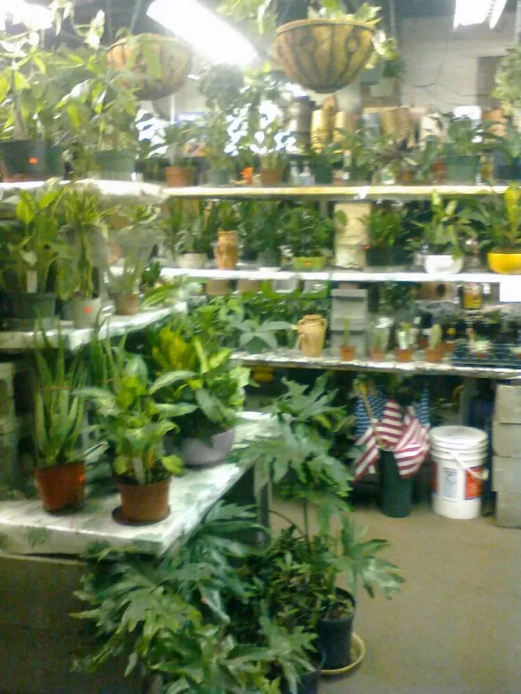 Reliable outdoor landscaping for beautiful yards across East Elmhurst, NY - Verni's Garden Center & Landscaping