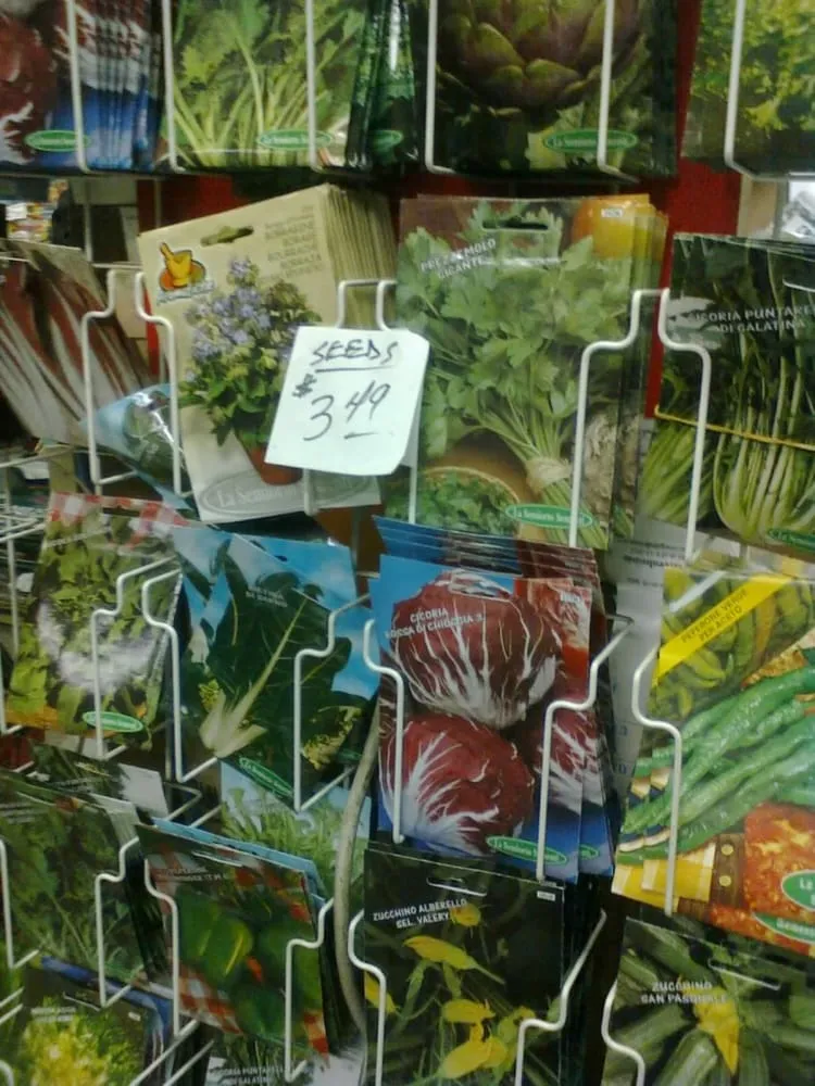 Affordable outdoor landscaping experts serving East Elmhurst, NY - Verni's Garden Center & Landscaping