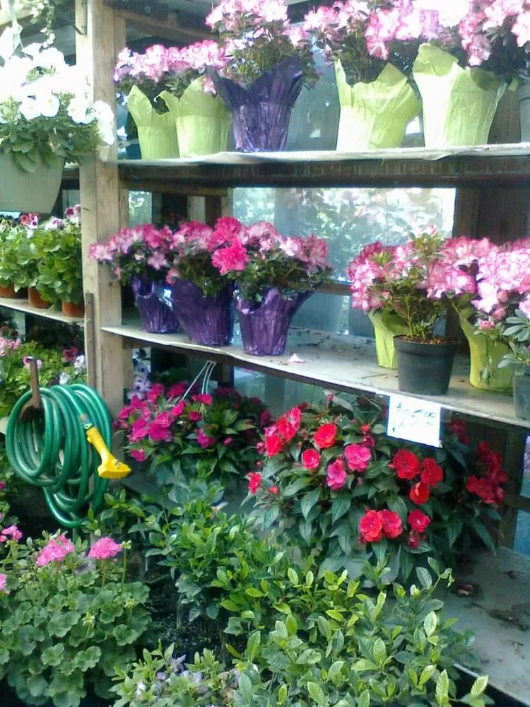 Trusted lawn mowing service in East Elmhurst, NY - Verni's Garden Center & Landscaping