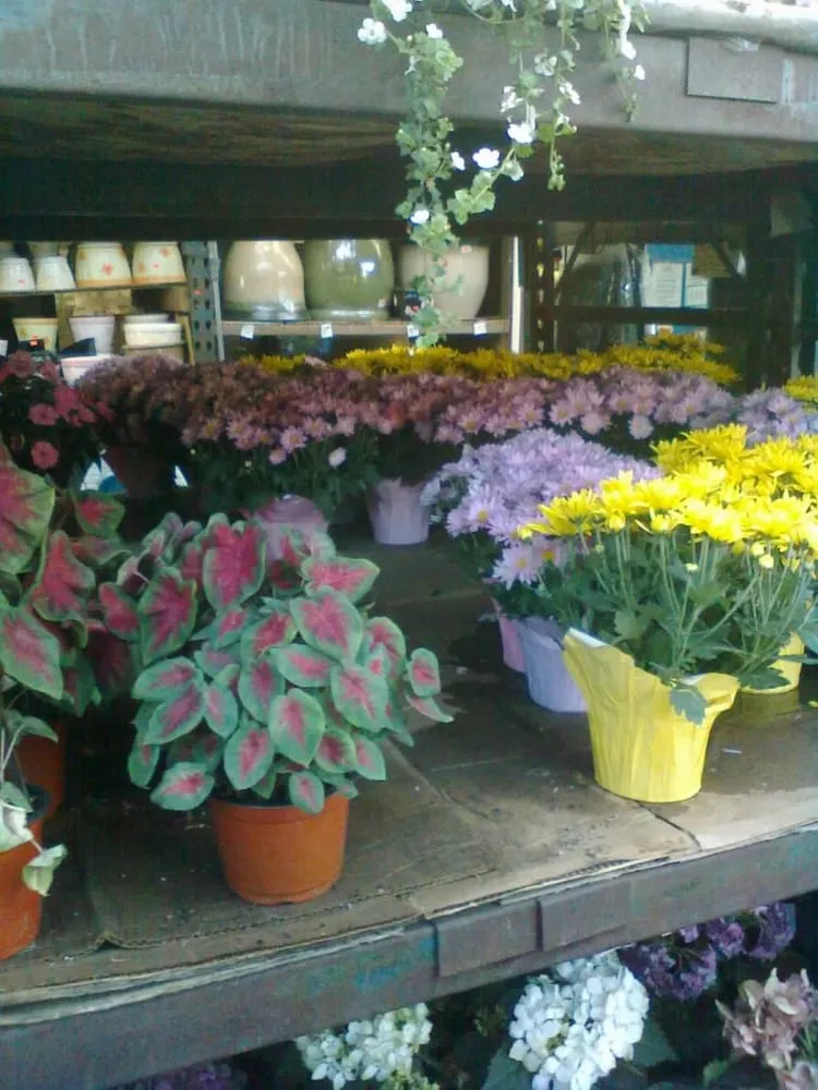 Professional residential landscaping in East Elmhurst, NY by Verni's Garden Center & Landscaping