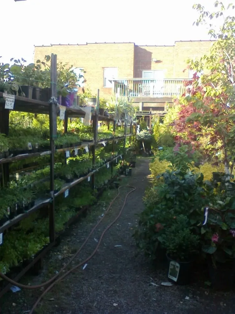 Custom yard maintenance in East Elmhurst, NY - Verni's Garden Center & Landscaping