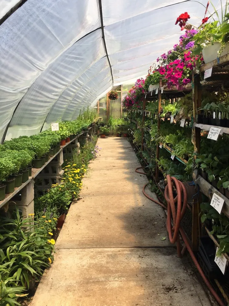 Custom residential landscaping experts serving East Elmhurst, NY - Verni's Garden Center & Landscaping