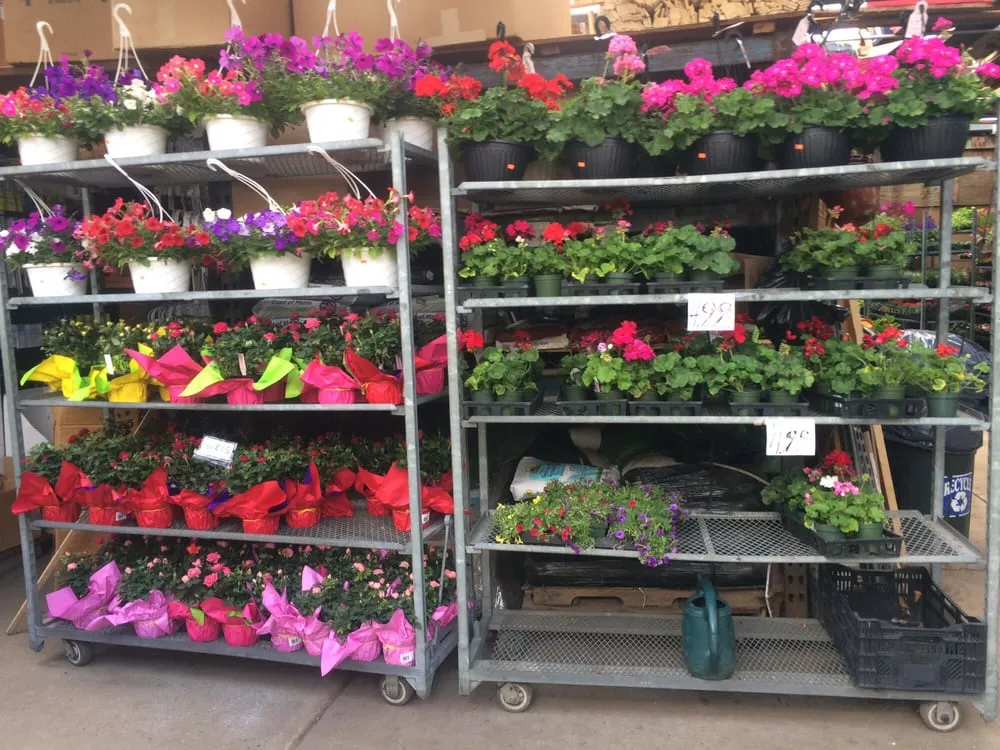 Custom lawn care service near you in East Elmhurst, NY by Verni's Garden Center & Landscaping