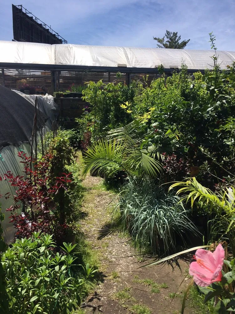 Affordable residential landscaping experts serving East Elmhurst, NY - Verni's Garden Center & Landscaping