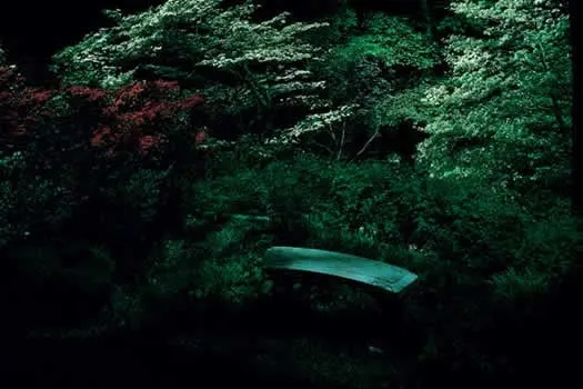 Top-rated garden landscaping for beautiful yards in Whippany, NJ by Vernon Daniel Associates