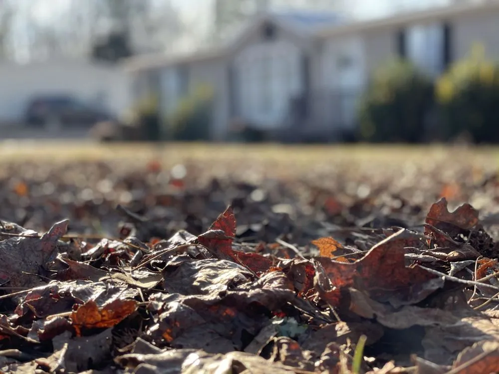 Professional landscaping services in Winston-Salem, NC by Vernon Lawn Services