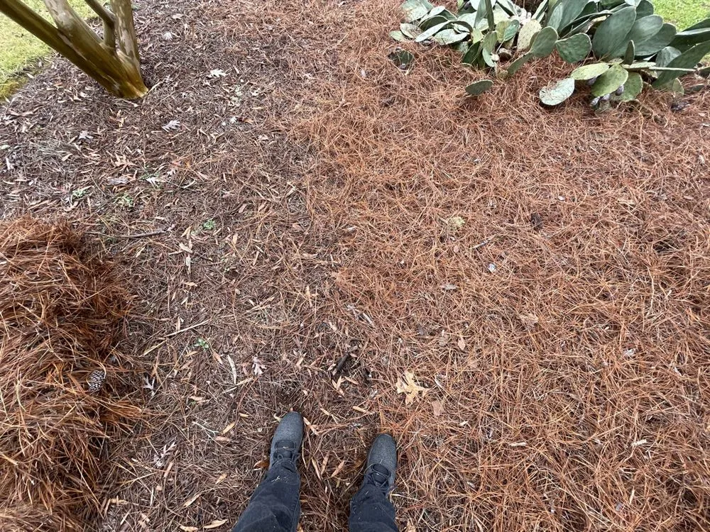 Professional lawn care service for residential properties in Winston-Salem, NC by Vernon Lawn Services