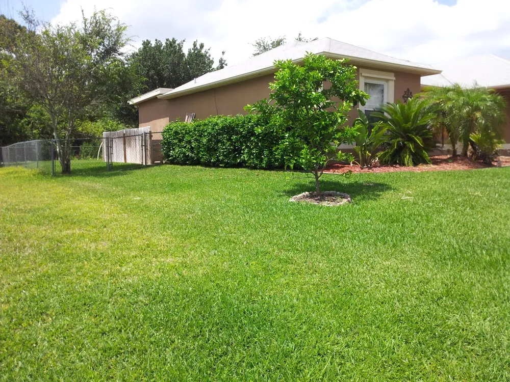 Trusted yard maintenance for year-round maintenance in Palm Bay, FL by vernons lawn care