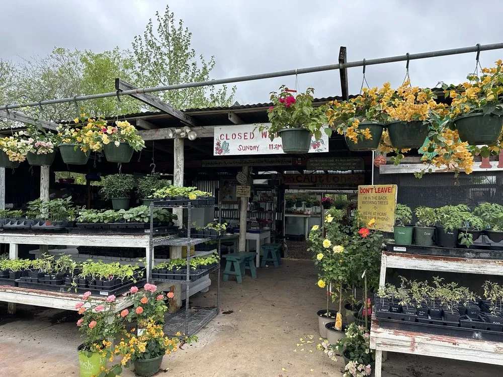 Top-rated residential landscaping experts serving Castroville, TX - Vernon's Tree Farm