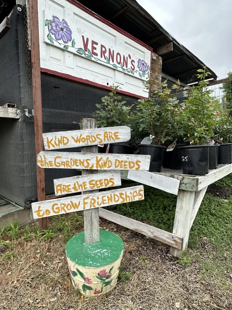 Professional outdoor landscaping in Castroville, TX - Vernon's Tree Farm