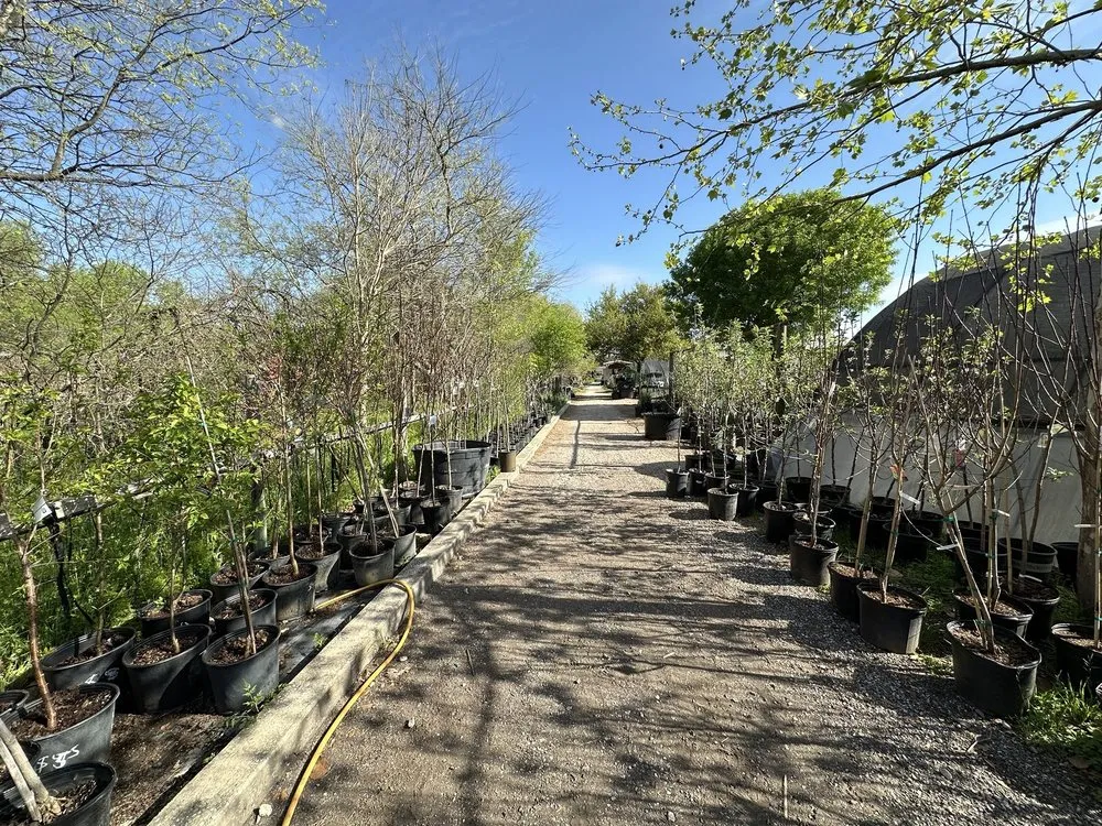 Affordable garden landscaping experts serving Castroville, TX - Vernon's Tree Farm