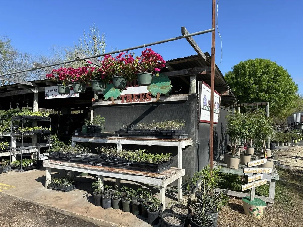 Local yard maintenance in Castroville, TX by Vernon's Tree Farm